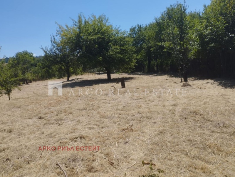 Продаја  Плот регион Перник , Јaрджиловци , 923 м2 | 68162069 - слика [5]