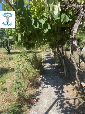 ������� ���� | Imot.bg � ����� ������ 5