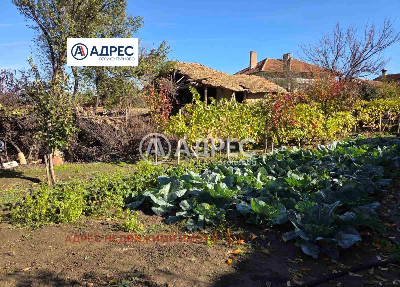 For Sale  Plot region Veliko Tarnovo , Dzhulyunitsa , 1000 sq.m | 51343567 - image [3]