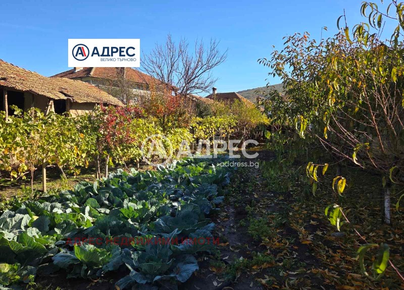 For Sale  Plot region Veliko Tarnovo , Dzhulyunitsa , 1000 sq.m | 51343567 - image [4]