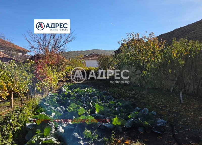 For Sale  Plot region Veliko Tarnovo , Dzhulyunitsa , 1000 sq.m | 51343567 - image [5]