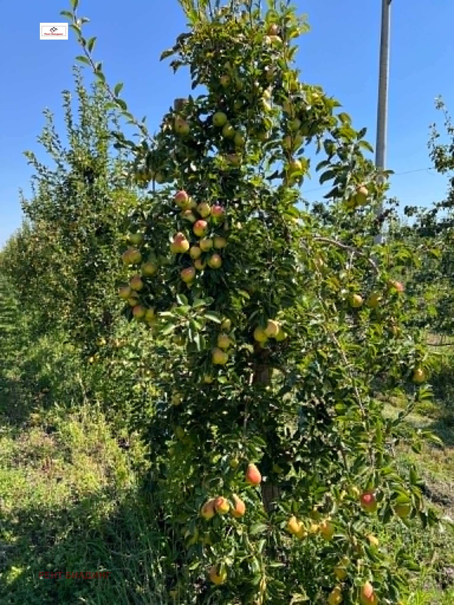 ������� ���������� ���� | Imot.bg � ����������� 12
