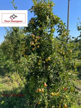 ������� ���������� ���� | Imot.bg � ����� ������ 12