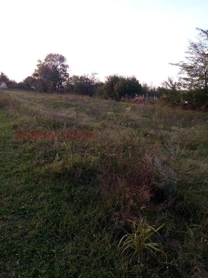 Продава ПАРЦЕЛ, гр. Козлодуй, област Враца, снимка 5 - Парцели - 52783923