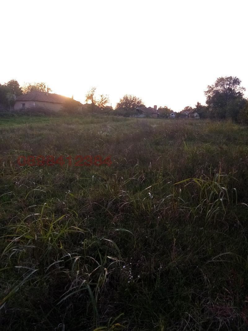 Продава ПАРЦЕЛ, гр. Козлодуй, област Враца, снимка 12 - Парцели - 52783923