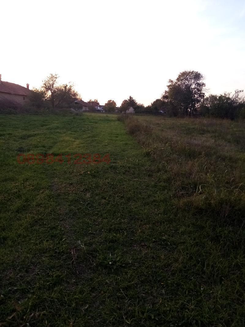 Продава ПАРЦЕЛ, гр. Козлодуй, област Враца, снимка 4 - Парцели - 52783923