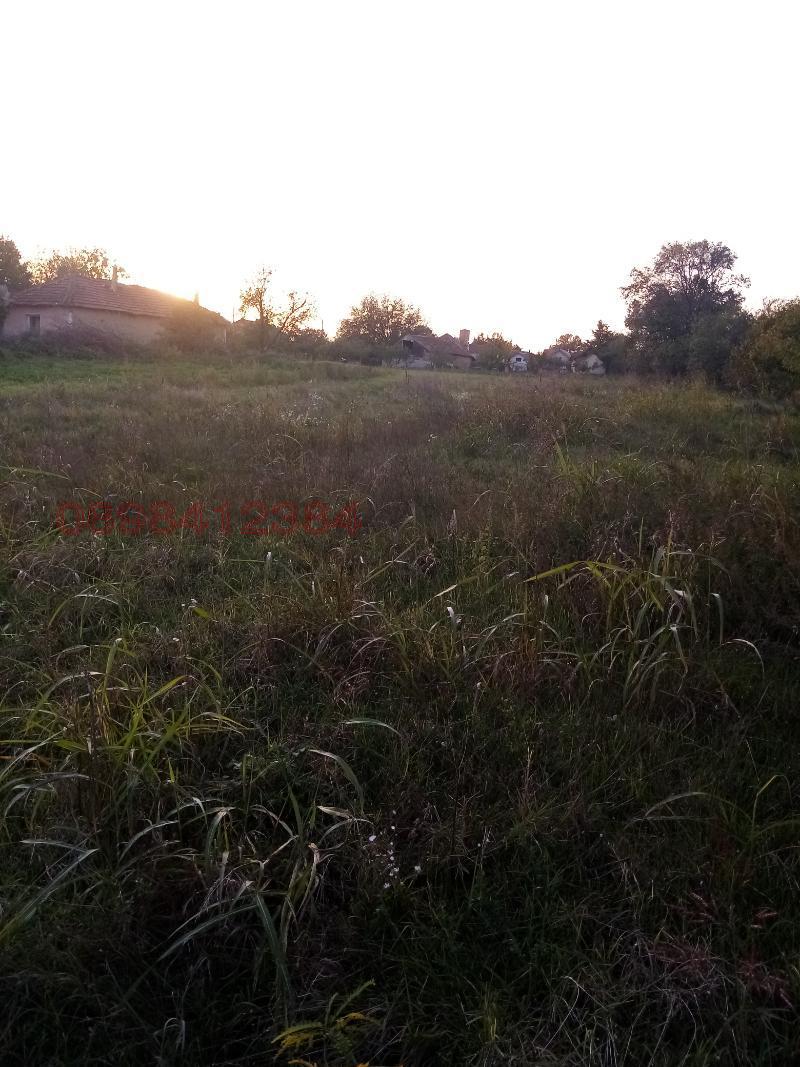 Продава ПАРЦЕЛ, гр. Козлодуй, област Враца, снимка 9 - Парцели - 52783923