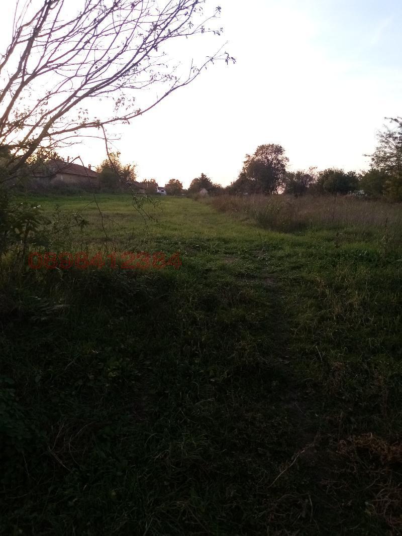 Продава ПАРЦЕЛ, гр. Козлодуй, област Враца, снимка 10 - Парцели - 52783923