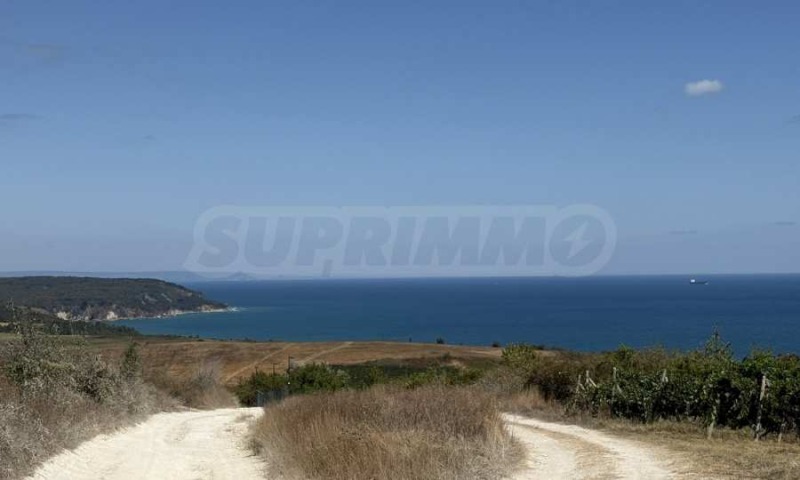 Till salu  Komplott region Varna , Bjala , 1000 kvm | 81191769 - bild [11]
