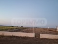 Продава ПАРЦЕЛ, с. Кичево, област Варна, снимка 7