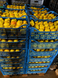 Продава ЗЕМЕДЕЛСКА ЗЕМЯ, гр. Бургас, с. Братово, снимка 4