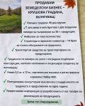 Продава  Земеделска земя област Бургас , с. Братово , 38 дка | 31522178 - изображение [14]
