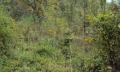 Продава КЪЩА, област Габрово, гр. Севлиево • 19500 € • 84071958 — Holmes.bg