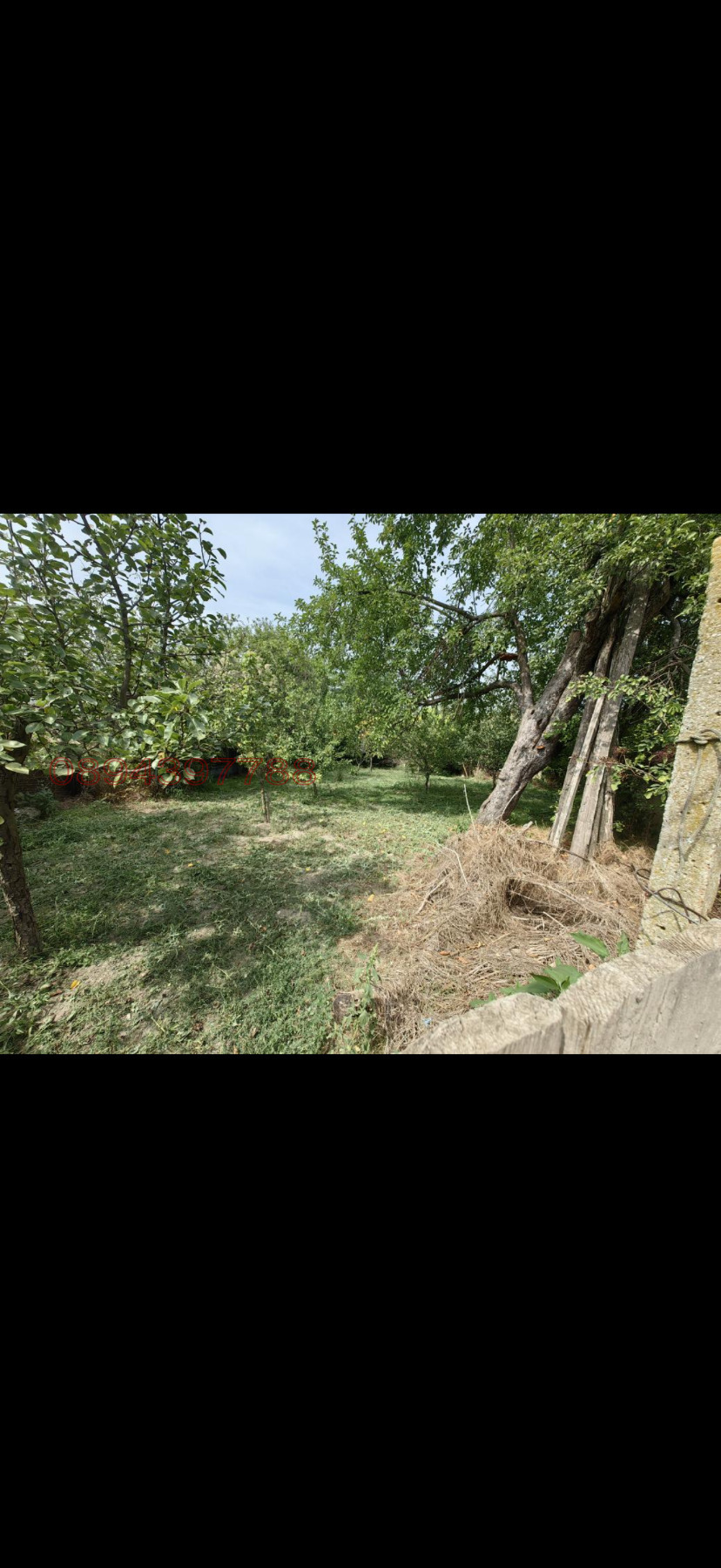 ������� ���� | Imot.bg � ����������� 12