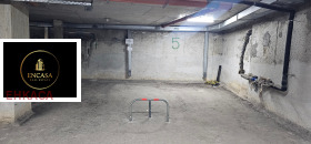 ����� ������� ����������,���� �����, ������ �����