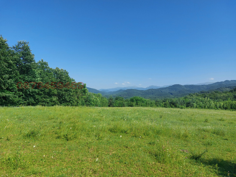 Продава ПАРЦЕЛ, с. Драшкова поляна, област Ловеч, снимка 4 - Парцели - 52784301