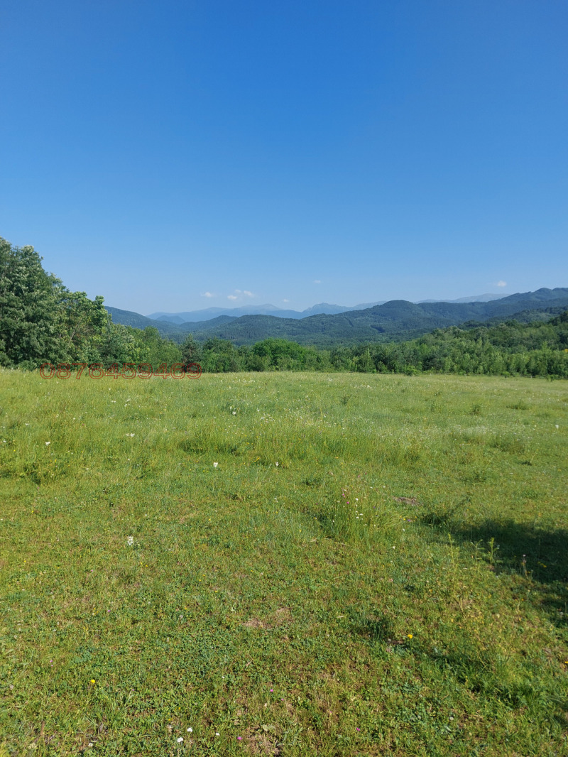 Продава ПАРЦЕЛ, с. Драшкова поляна, област Ловеч, снимка 5 - Парцели - 52784301