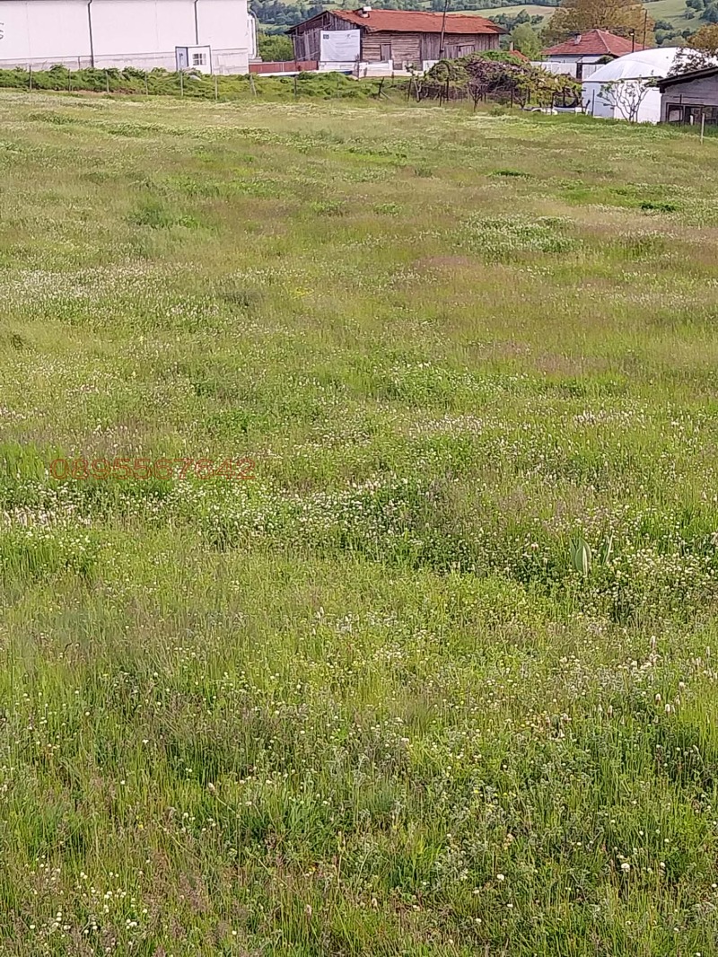 Продава ПАРЦЕЛ, гр. Белица, област Благоевград, снимка 5 - Парцели - 53272441