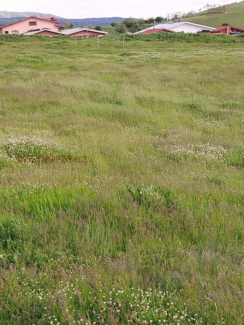 Продава ПАРЦЕЛ, гр. Белица, област Благоевград, снимка 6 - Парцели - 53272441