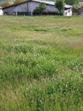 Продава ПАРЦЕЛ, гр. Белица, област Благоевград, снимка 11