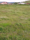 Продава ПАРЦЕЛ, гр. Белица, област Благоевград, снимка 6