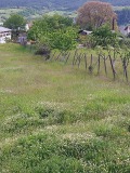 Продава ПАРЦЕЛ, гр. Белица, област Благоевград, снимка 4