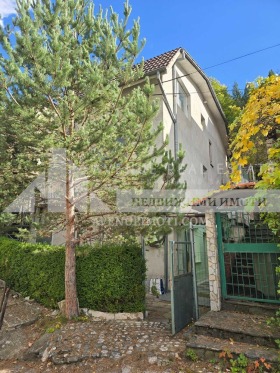 ������ ������� ����