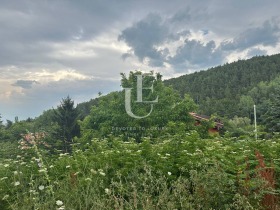 Плот Панчарево, Софија