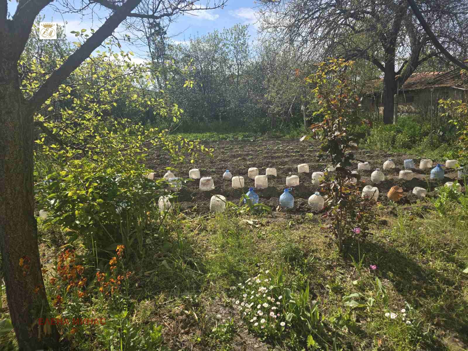 Продава КЪЩА, с. Велино, област Шумен, снимка 15 - Къщи - 54433896