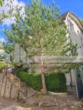 Продава  Къща област Пловдив , с. Нареченски бани , 210 кв.м | 83363156 - изображение [16]