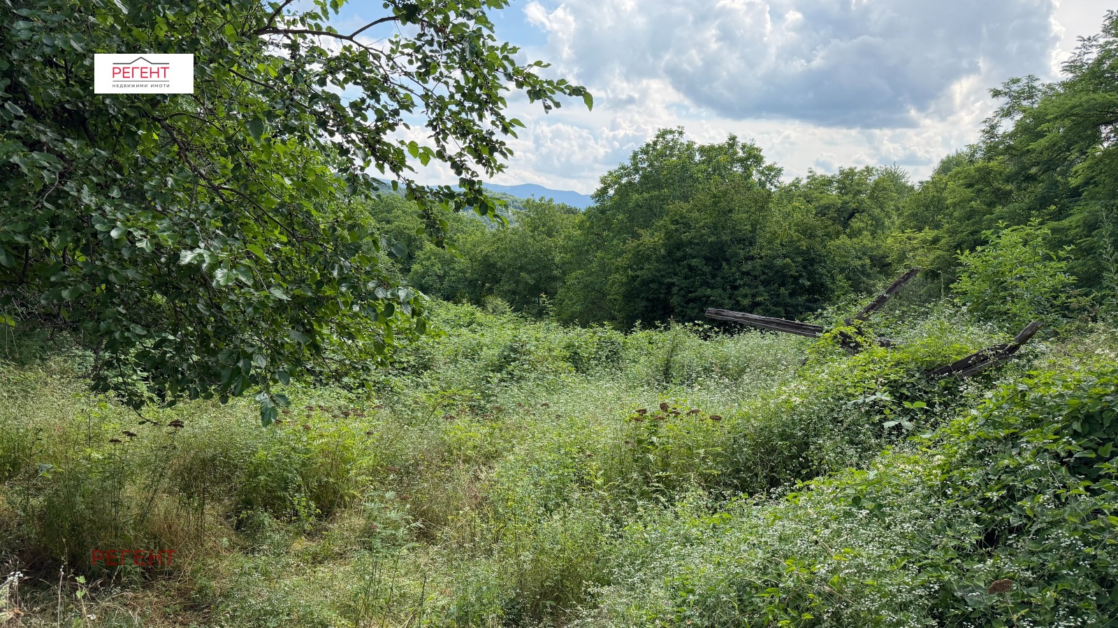 ������� ������ | Imot.bg � ����������� 2