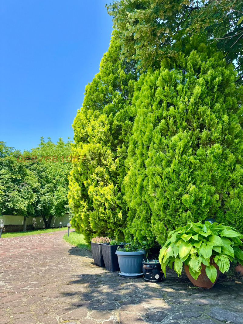 Satılık  Villa bölge Vratsa , Manastirişe , 250 metrekare | 22743012 - görüntü [12]
