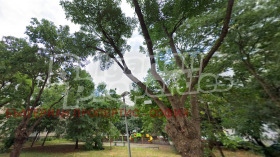 ������� 4-����� | Imot.bg � ����� ������ 5