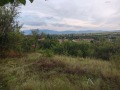 Продава ПАРЦЕЛ, с. Драговищица, област София област, снимка 3