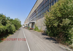 ������ ���� ��� ���� �����