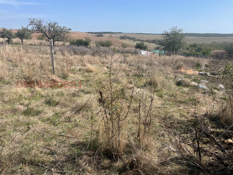 Дава под наем КЪЩА, с. Свирково, област Хасково, снимка 6 - Къщи - 52788493