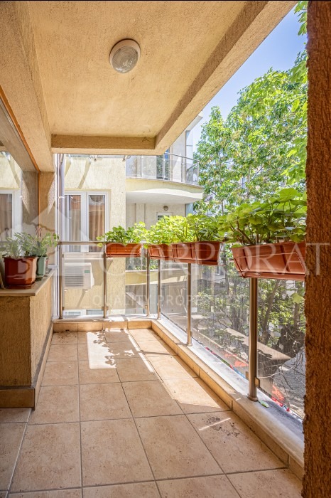 For Rent  3+ bedroom Sofia , Meditsinska akademiya , 115 sq.m | 26703163 - image [4]