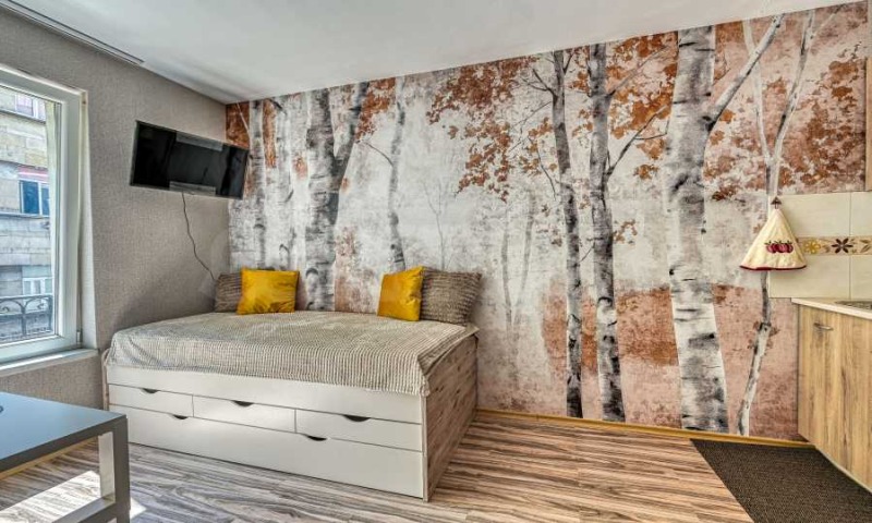 Zu vermieten  Studio Sofia , Zentar , 27 qm | 58035903 - Bild [2]