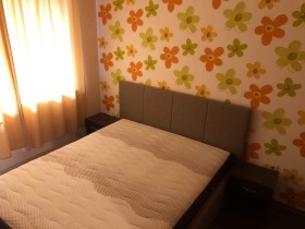 1 chambre Boyana, Sofia 8