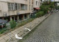 Под наем ОФИС, град София, Център • 900 лв. / 460.16 € • 50562953 1