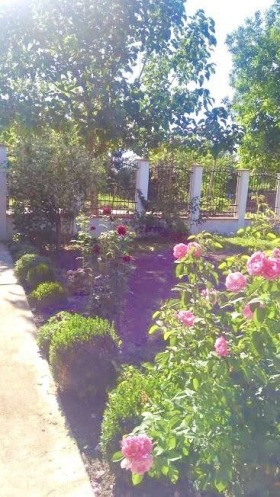���� ��� ���� ���� | Imot.bg � ����� ������ 15