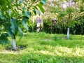 Дава под наем  Къща област Враца , гр. Козлодуй , 80 кв.м | 67518089 - изображение [14]
