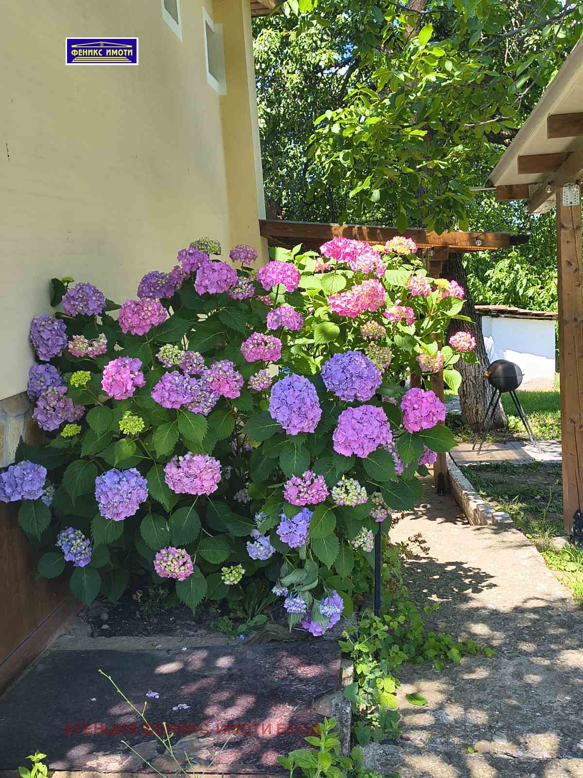 ���� ��� ���� ���� | Imot.bg � ����������� 7