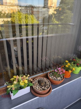���� ��� ���� 3-����� | Imot.bg � ����� ������ 7