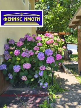 ���� ��� ���� ���� | Imot.bg � ����� ������ 7
