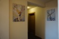 Под наем 3-СТАЕН, град София, Гео Милев • 1450 € • 50810657 — Holmes.bg