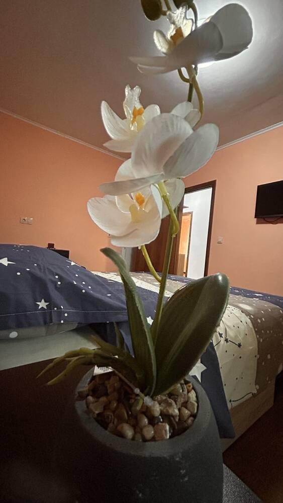 För uthyrning  2 sovrum Burgas , Sarafovo , 70 kvm | 41343434 - bild [3]