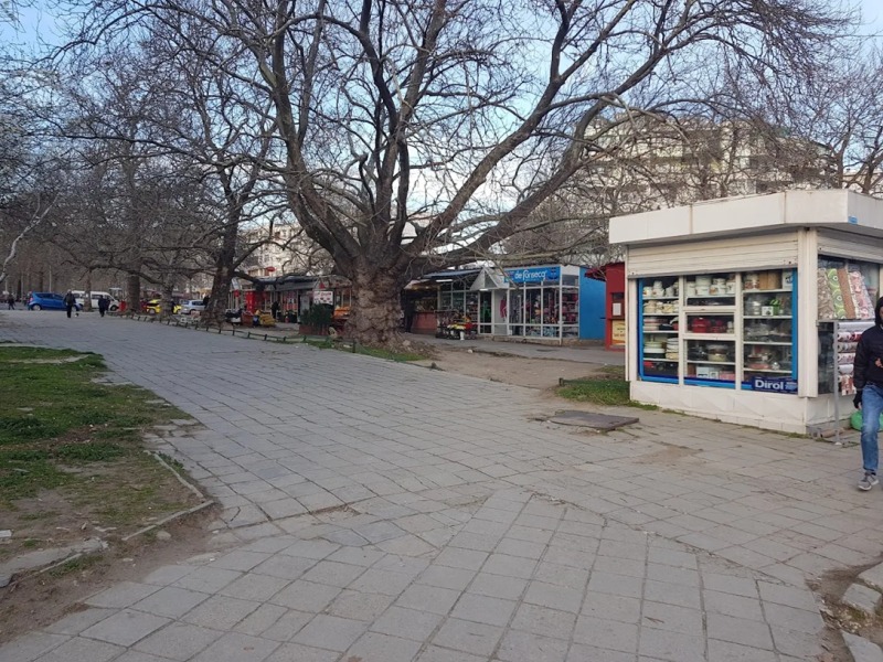 Kiadó  Üzlet Varna , Csajka , 15 négyzetméter | 69201402