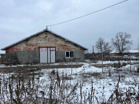 ������ ���� ��� ���� ����. ���������