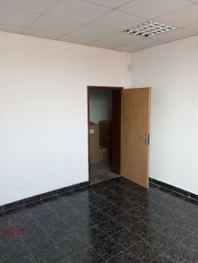 ����� ���� ��� ���� �����,���� �������, ������������ ���� - �����